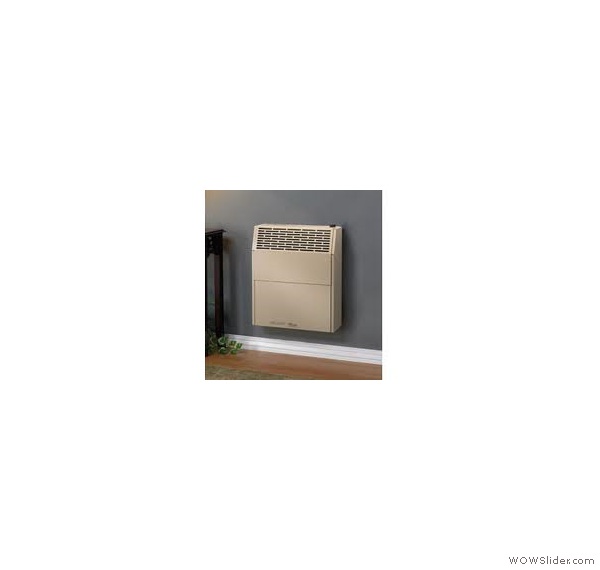 Direct Vent Wall Heater